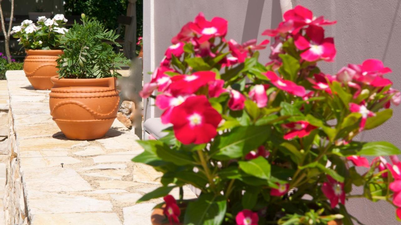 Domenica Apts I Laganas Luaran gambar
